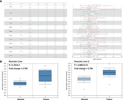 H2AFZ Is a Prognostic Biomarker Correlated to TP53 Mutation and Immune Infiltration in Hepatocellular Carcinoma